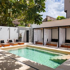 Suite Terrace